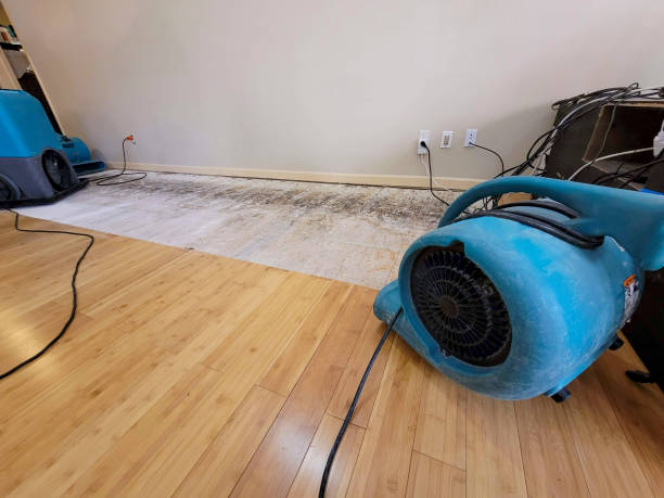 Professional Emergency Water Damage technician working in Gardner, ND